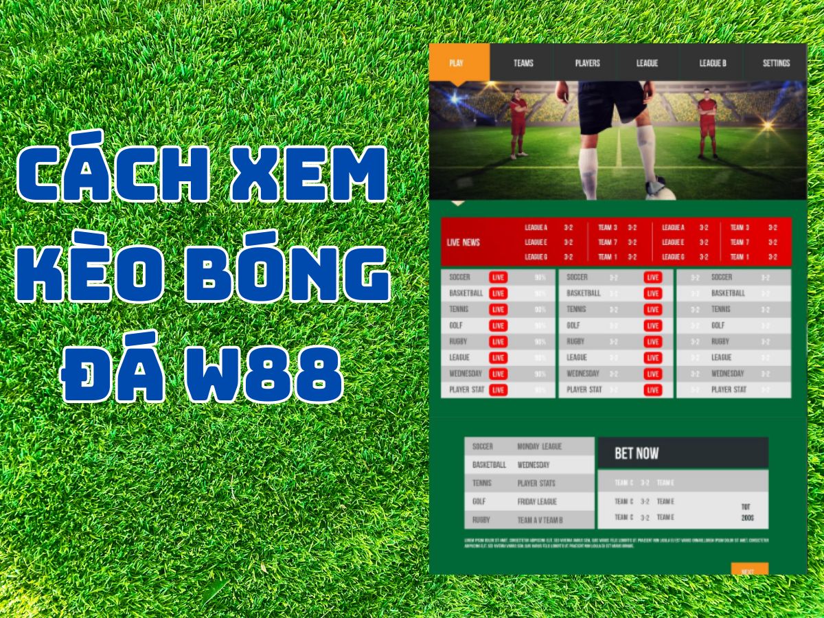 cách xem kèo bóng đá w88 dễ hiểu nhất 9 cách xem kèo bóng đá w88