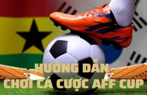 hướng dẫn chơi cá cược aff cup