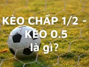 kèo chấp 1/2 là gì?