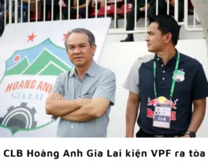 hoang anh gia lai kien vpf