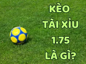 kèo tài xỉu 1.75 là gì?