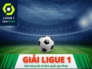 giải ligue 1 là gì?