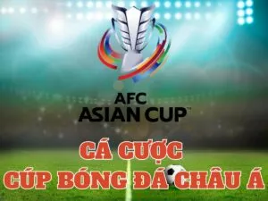 hướng dẫn cá cược cúp bóng đá châu á